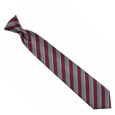 DHA School Tie